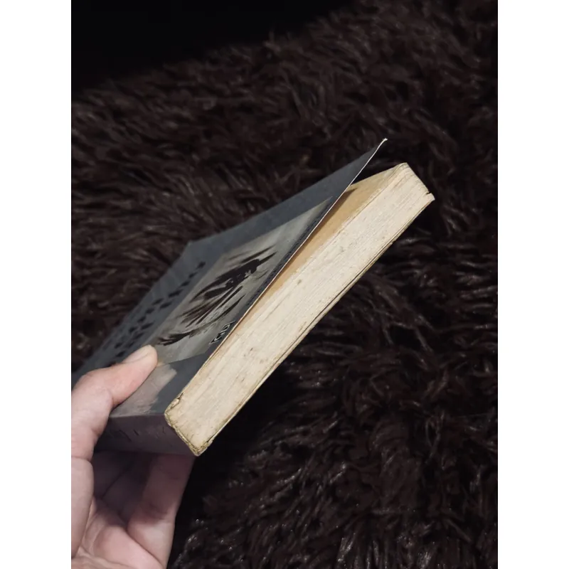 Con mắt thơ - Đỗ Lai Thuý 711336