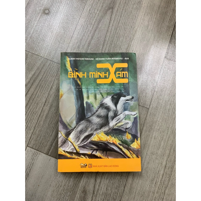 Bình minh xám. 999 458308