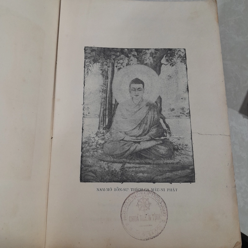 KINH HOA NGHIÊM TẬP III - Thích Trí Tịnh 544312