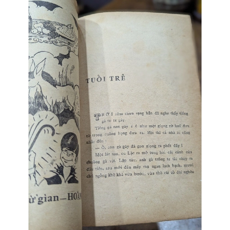 Đôi gi đá - Tô Hoài 1020003