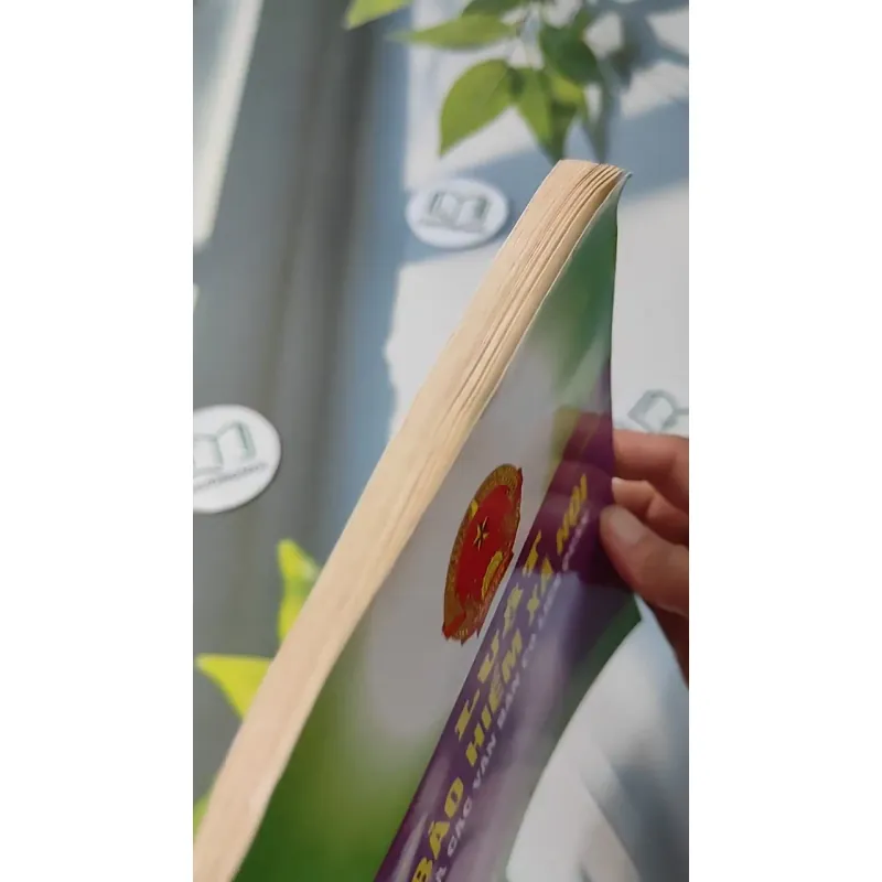 Luật Bảo Hiểm Xã Hội Và Các Văn Bản Có Liên Quan 727237