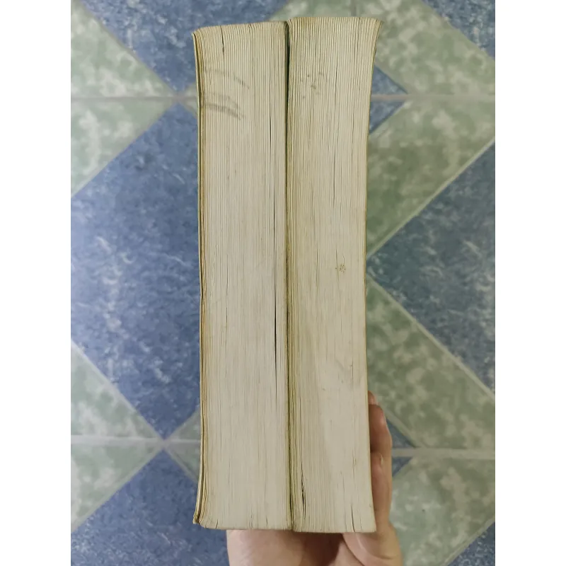 Hồ Tuyết Nham ( 2 tập) - Chung Nguyên & Doanh Vịnh 712497