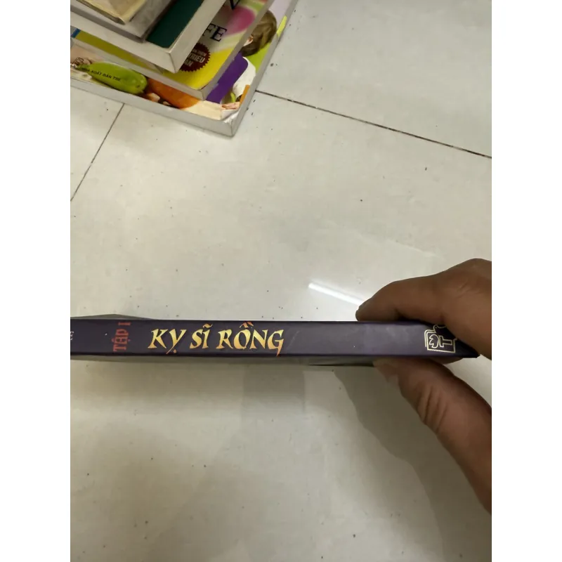 Ky sĩ rồng  593698