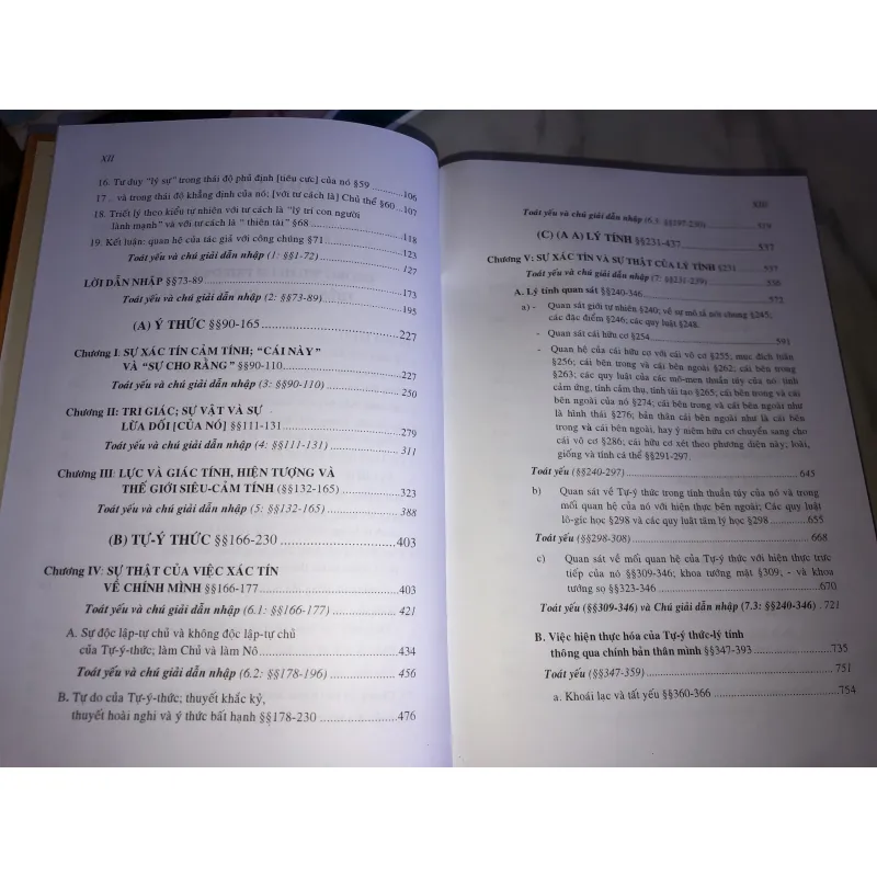 Hiện tượng học tinh thần 791671