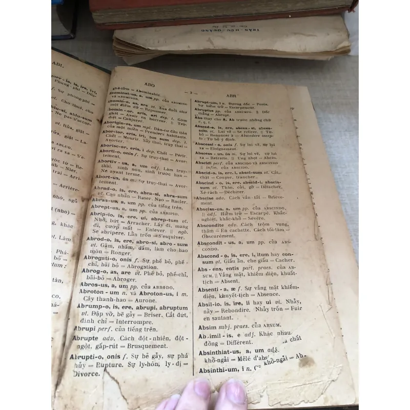 Từ điển La Việt 1001017