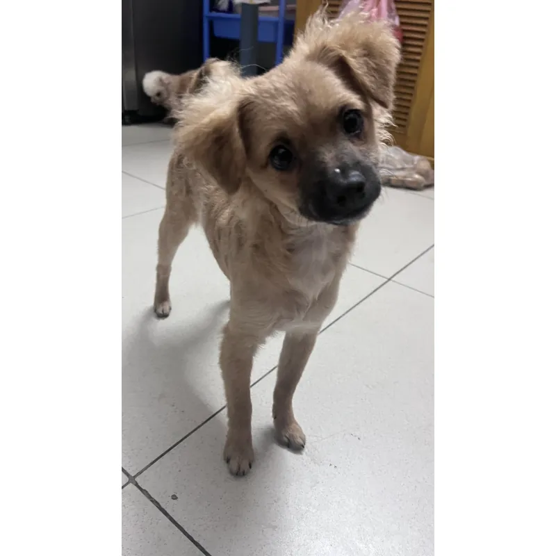 Mãi mãi tuổi hai mươi  958055