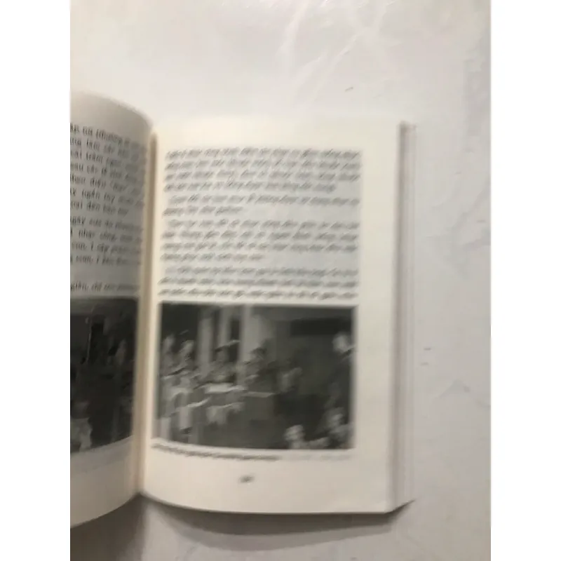 Đình ở thành phố Hồ Chí Minh 565260