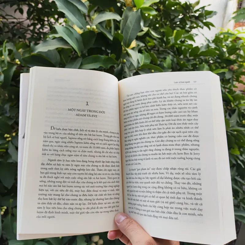 Sapiens Lược Sử Loài Người 722517