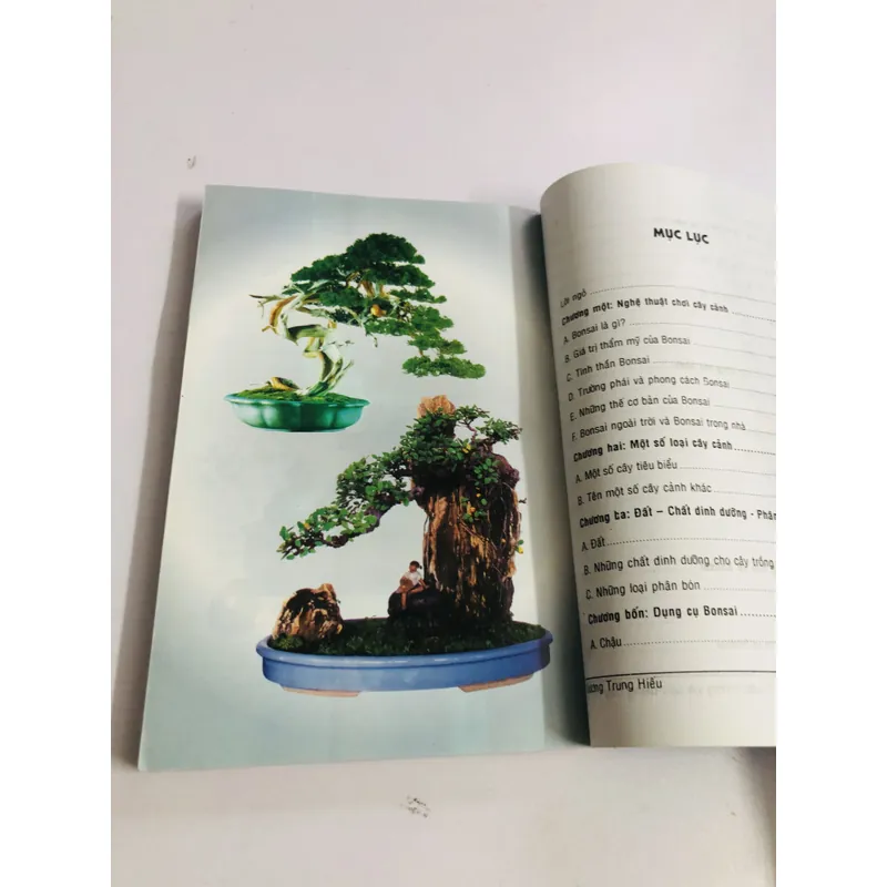 KỸ THUẬT TRỒNG & TẠO DÁNG CÂY CẢNH 595095