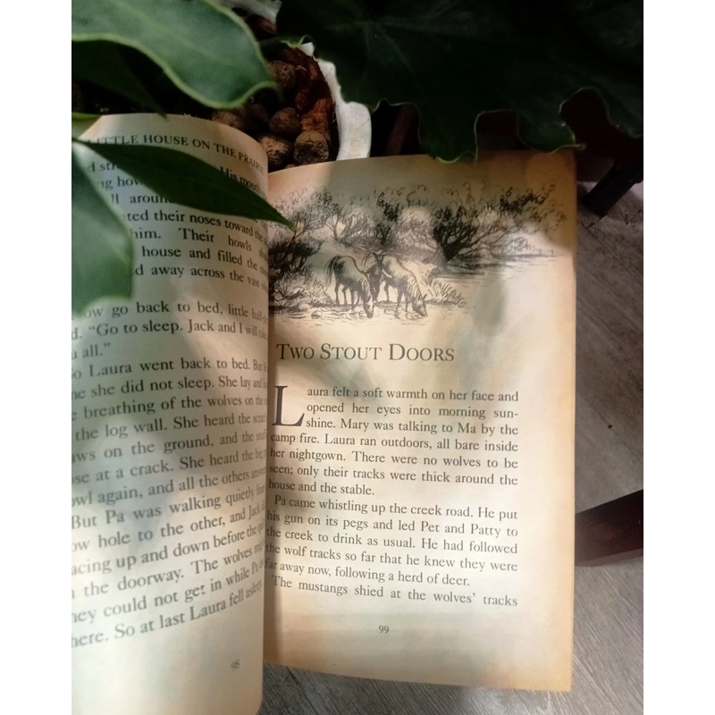 LITTLE HOUSE ON THE PRAIRIE - Laura Ingalls Wilder (có tranh minh họa) 478169