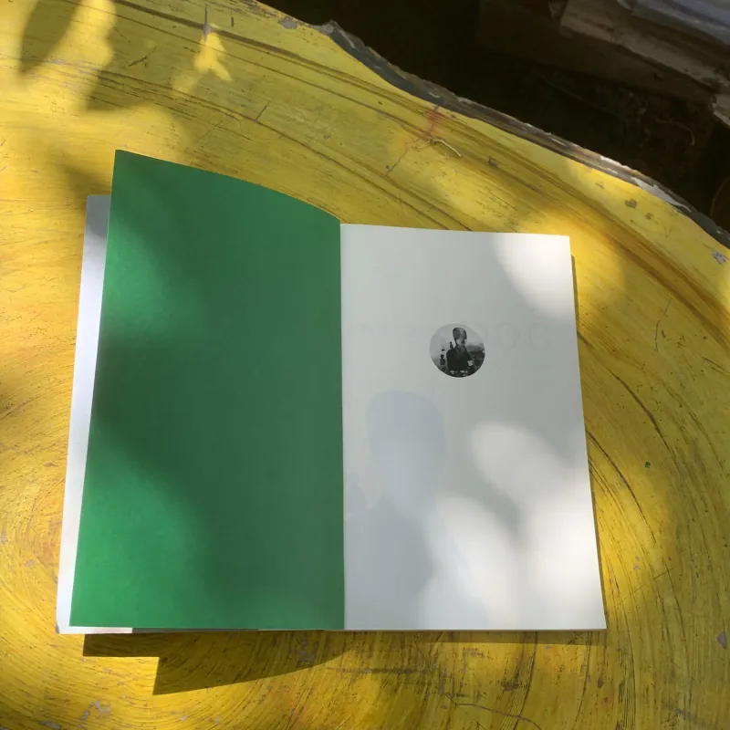 NHỮNG NGHIỆM ĐỌC- ĐẶNG THỊ BÍCH HỒNG- tiểu luận & phê bình  784296