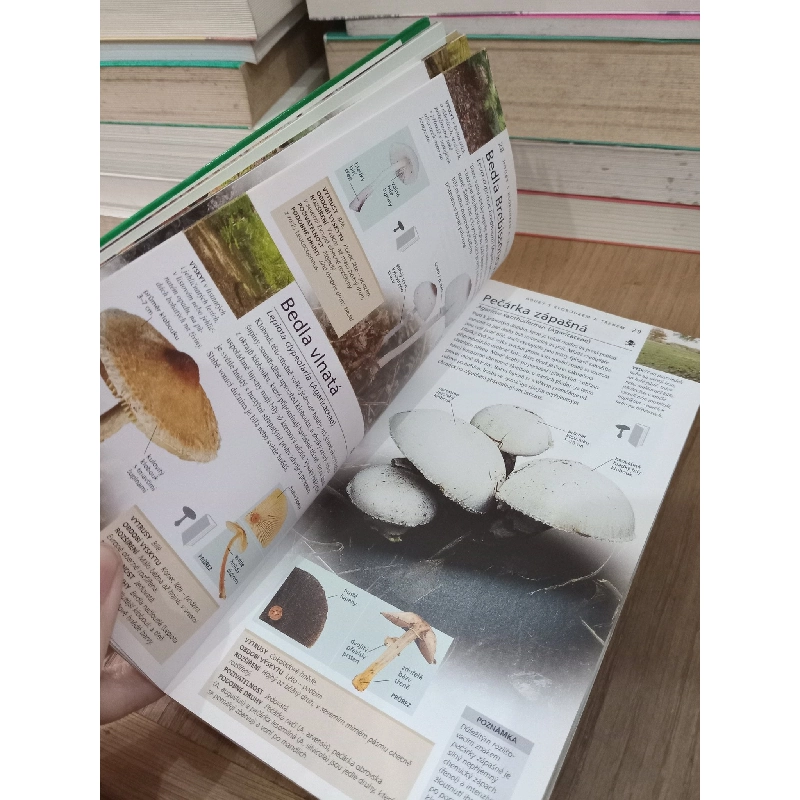 Nový kapesní atlas HOUBY - S. Evans, G. Kibby 740523