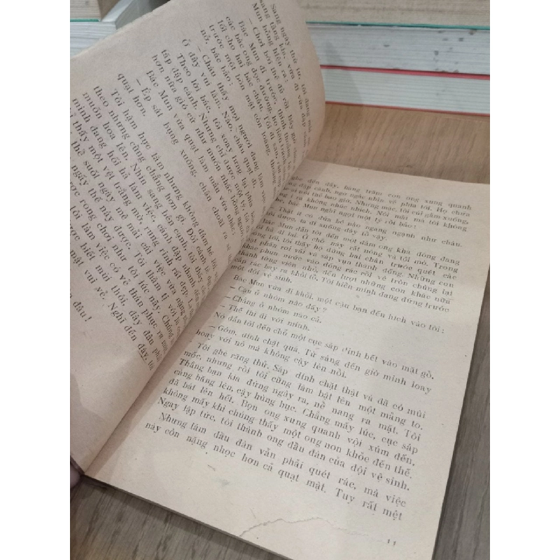 Cuộc phiêu lưu kỳ lạ của ong vàng - Vũ Duy Thông 735438