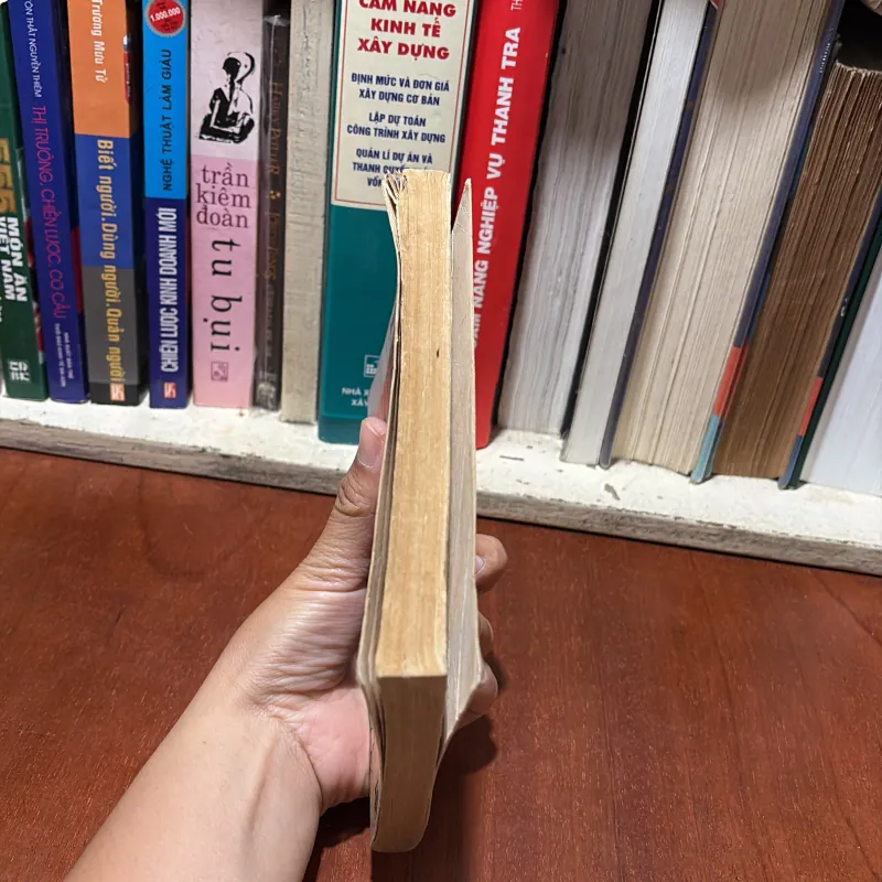 II Văn Hoá Việt: Việt Nam Phong Tục - Phan Kế Bính - 1999 778151