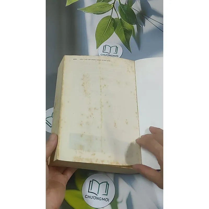 Hãy chờ em đánh răng xong nhé - Hồng Cửu 688614