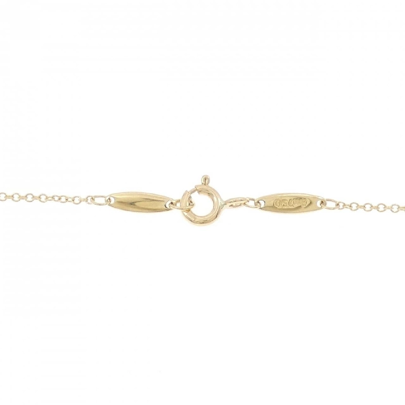 Dây chuyền Tiffany By The Yard - Hàng hiệu Authentic 840807