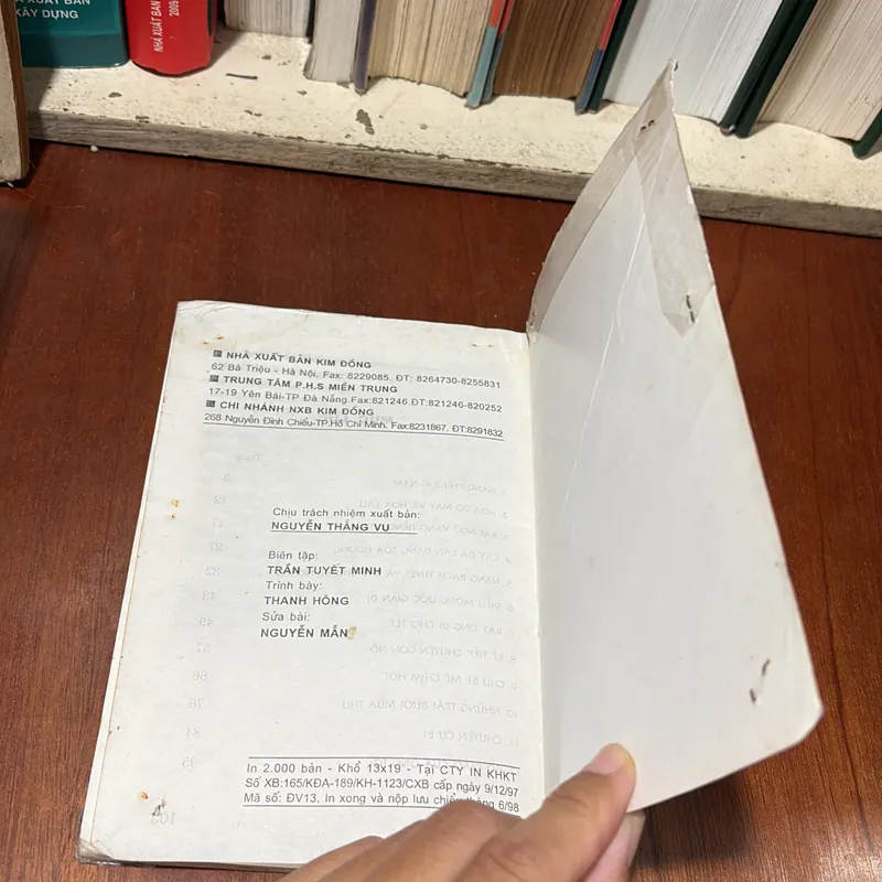 II Sách Thiếu Nhi: Nắng Phương Nam - Trần Hoài Dương - 1998 722491