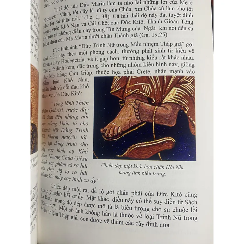  Bức linh ảnh Đức Mẹ Hằng Cứu Giúp 687258