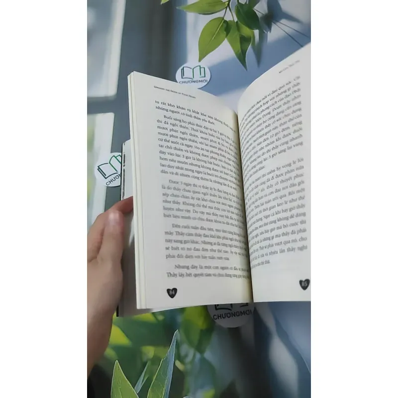 Mở Cửa Trái Tim - Ajahn Brahm 961179