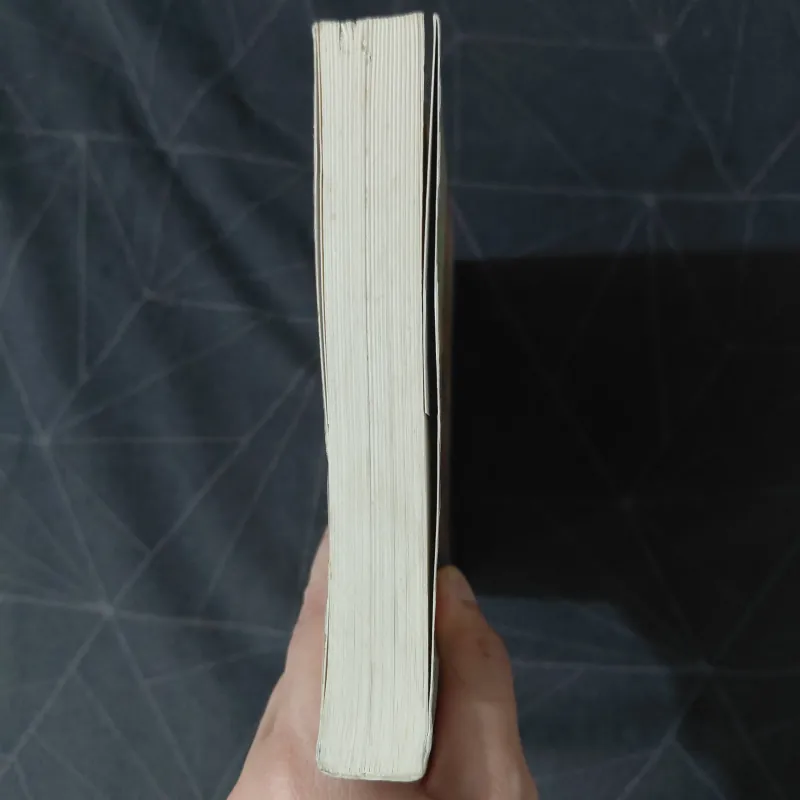 "Central Park" - Guillaumo Musso 976868