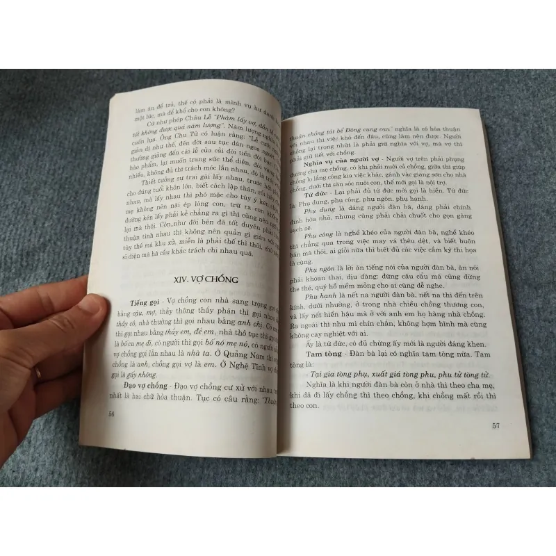 VIỆT NAM PHONG TỤC - PHAN KẾ BÍNH 729253