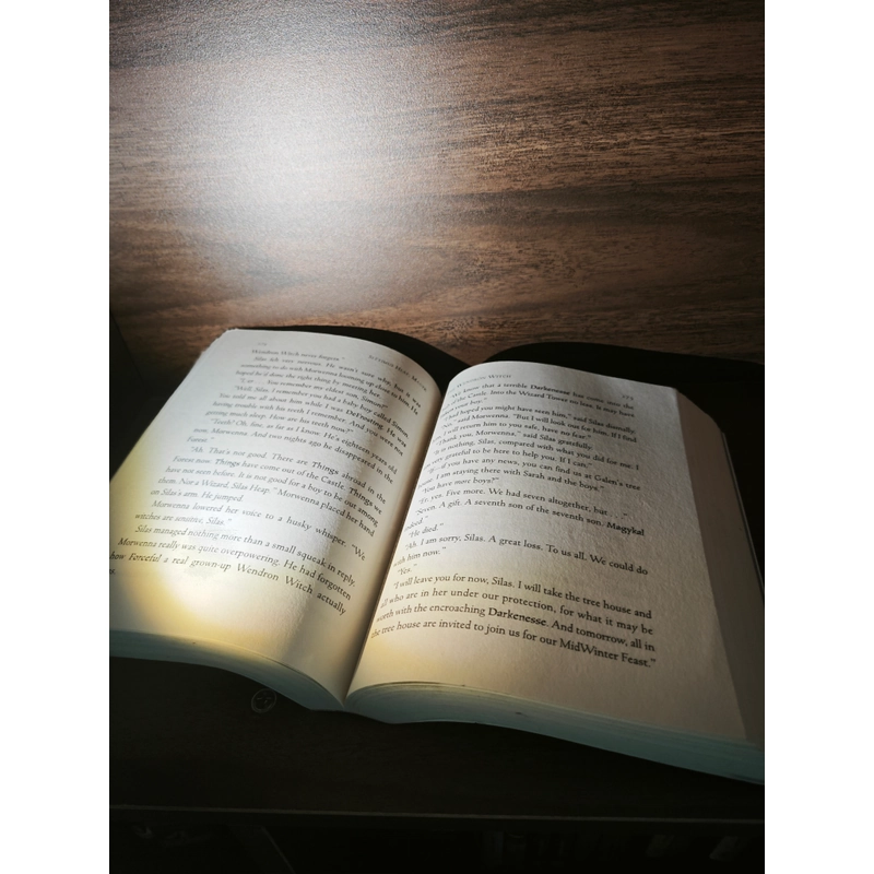 Ngoại văn fantasy thiếu nhi – Magyk (Septimus Heap #1) - Angie Sage, 8 - 12 tuổi 548152