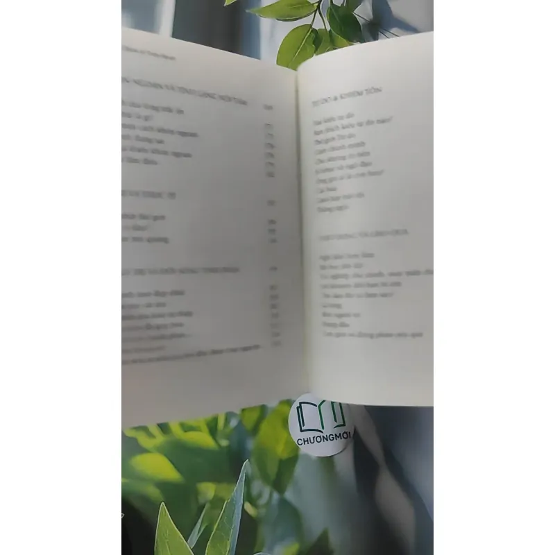 Mở Cửa Trái Tim - Ajahn Brahm 961179