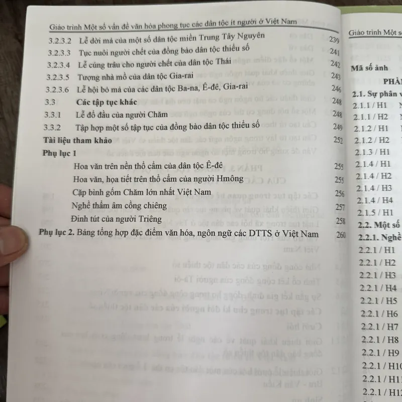 Một số vấn đề văn hóa phong tục các dân tộc ít người ở Việt Nam 593814
