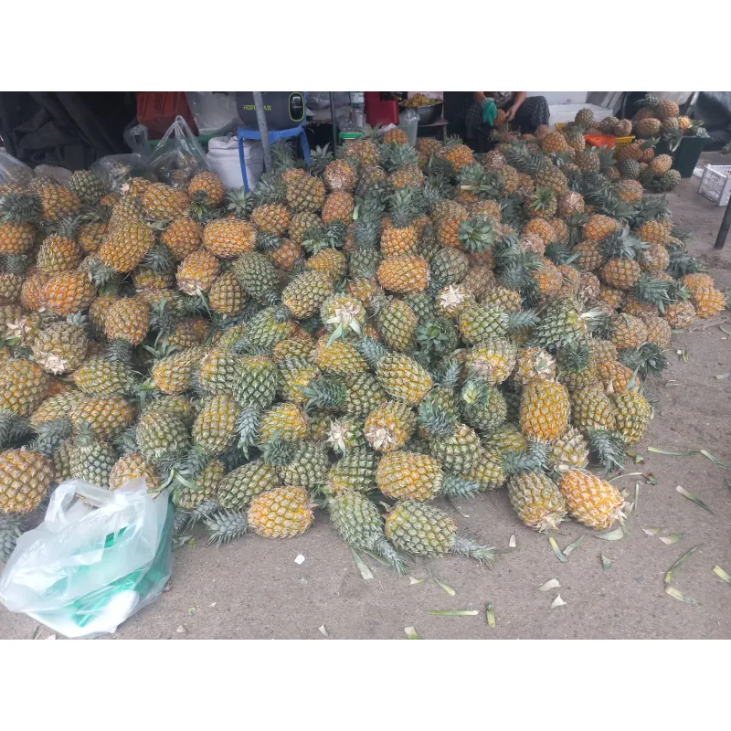 Quả Dứa ngày tết 798082