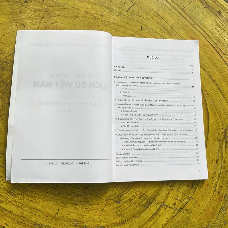 GIÁO TRÌNH LỊCH SỬ VIỆT NAM TẬP 1 TỪ NGUYÊN THUỶ ĐẾN ĐẦU THẾ KỶ X 718766