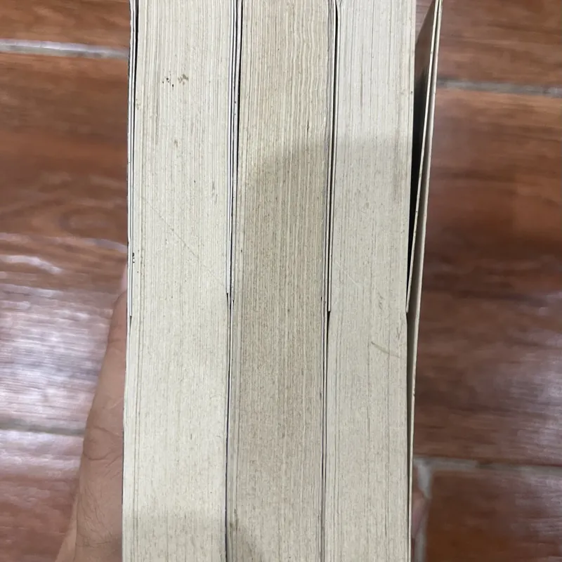 CẬU BÉ TRỘM MA THUẬT bộ 3 tập - SARAH PRINEAS (4) 596458
