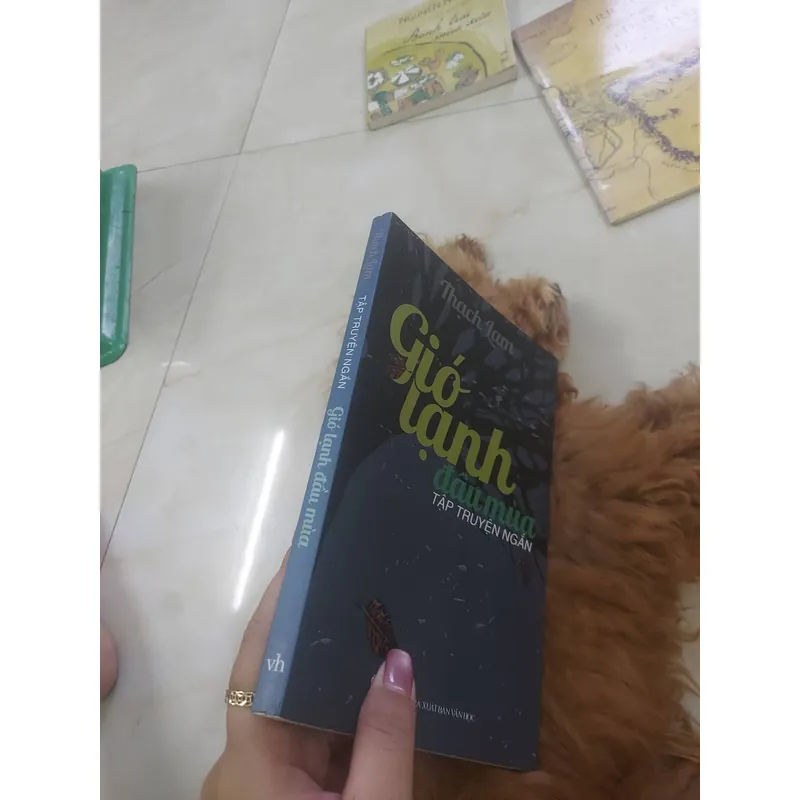 Gió lạnh đầu mùa hcm 1068302