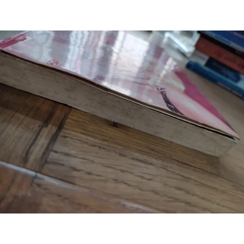 Lật tàu: Cuộc đời & cái chết của Anna Nicole Smith - Henrietta Tiefenthaler 603856