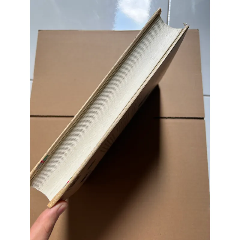 Mẹ Việt dạy con bước cùng toàn cầu - Hồ Thị Hải Âu 751922