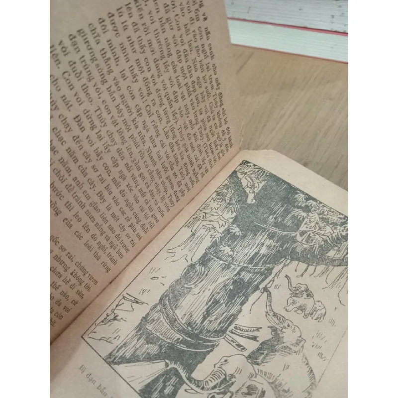 Thú rừng tây nguyên - Thiên Lương 496488