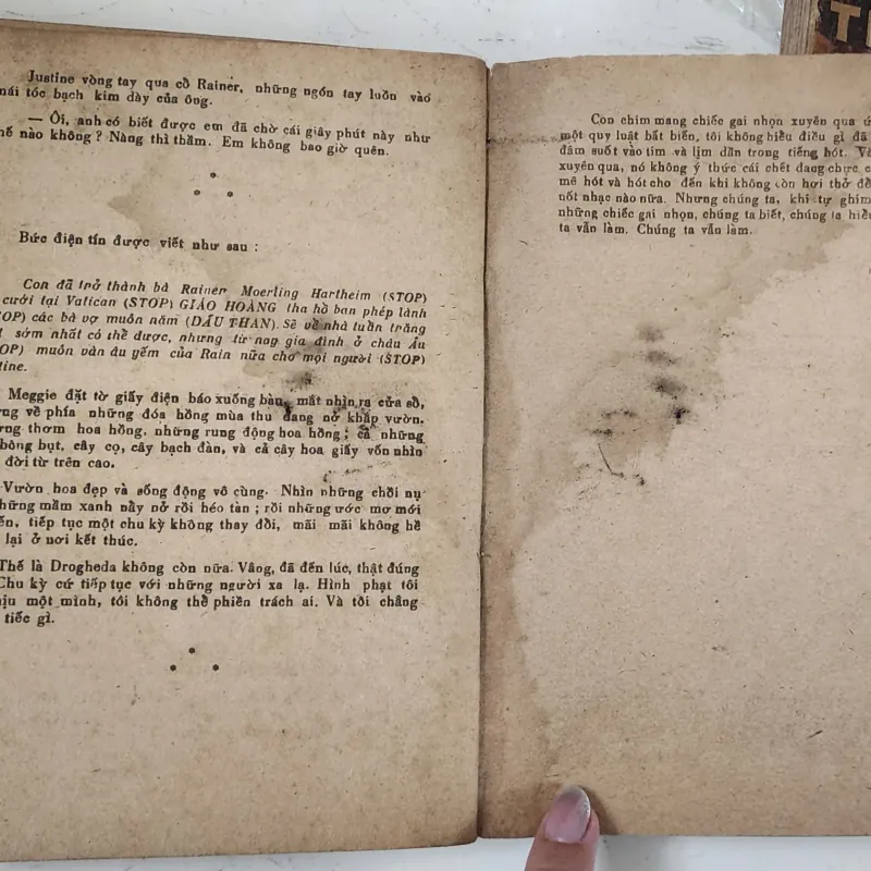 Tiểu thuyết NHỮNG CON CHIM ẨN MÌNH CHỜ CHẾT - Nữ nhà văn Colleen McCullough 711585