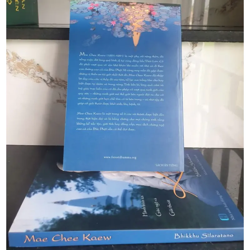 Hành Trình Tới Giấc Ngỡ Và Giải Thoát - Bhikkhu Silaratano 690837