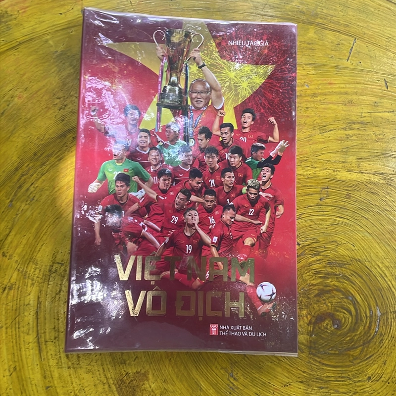 Việt Nam vô địch 463693