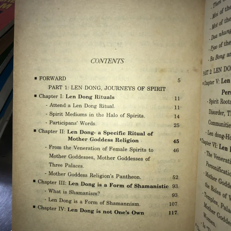 Lên đồng - Hành trình của thần linh và thân phận - Ngô Đức Thịnh 933211