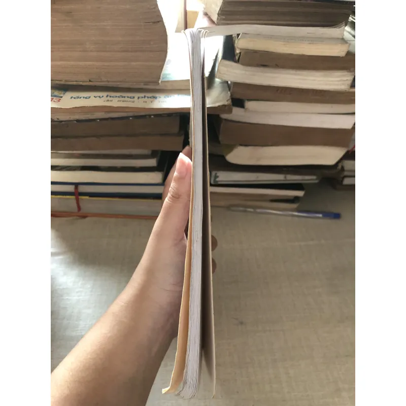 Nam tuyền ngữ lục và Bửu tạng luận 976047