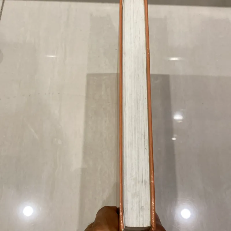 THUYẾT TRẦN, SỬ NHÀ TRẦN, Bản bìa cứng (xb 2006) 997724