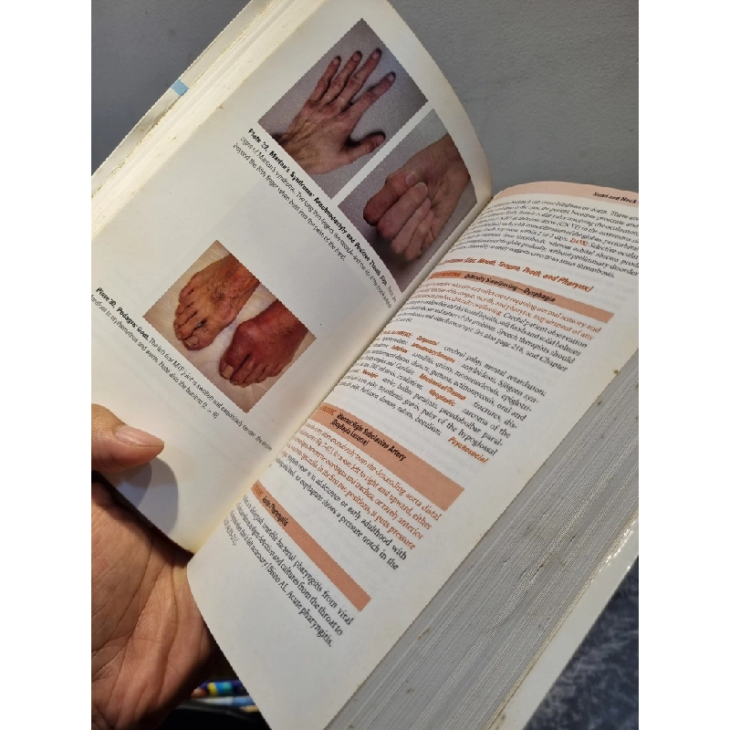 DeGowin's DIAGNOSTIC EXAMINATION - Richard F. LeBlond, Donald D. Brown, Richard L. DeGowin 193860