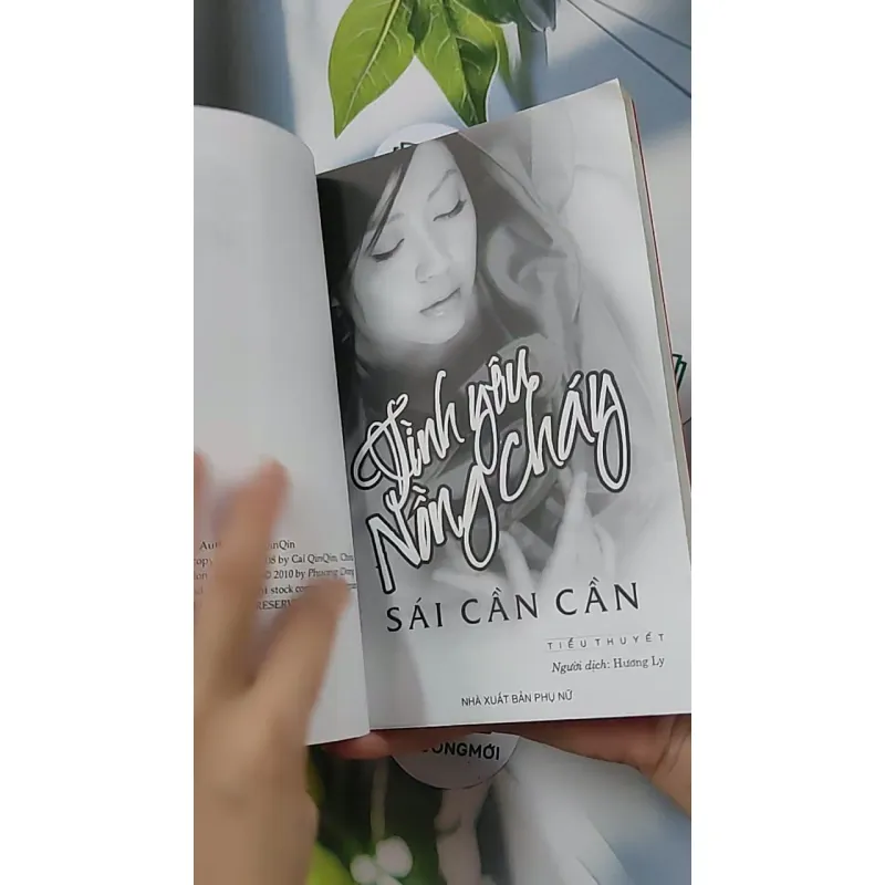 Tình yêu nồng cháy - Sái Cần Cần 688658