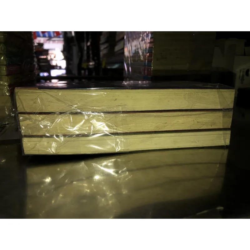 Cậu bé trộm ma thuật - Sarah Prineas 1027329