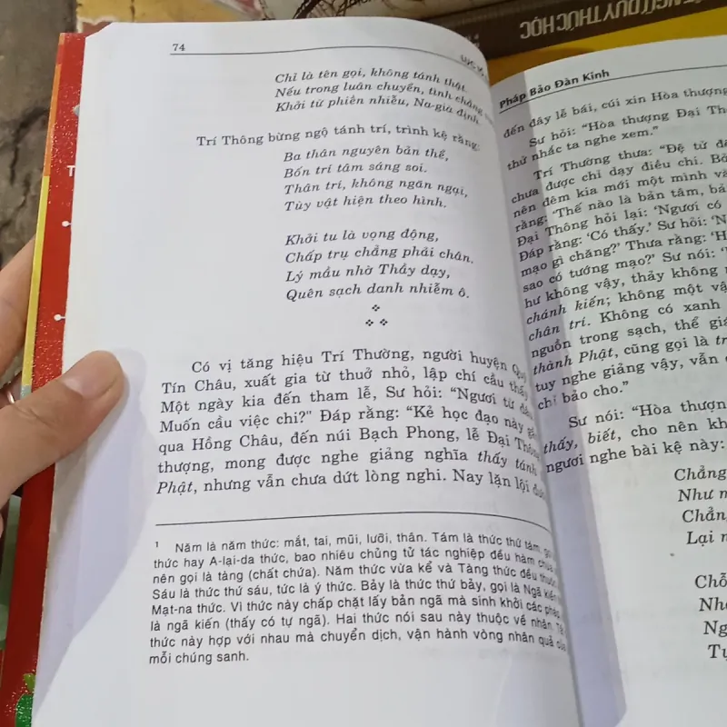 Pháp Bảo Đang Kinh - Đoàn Trung Còn - Huyền Mặc Đạo Nhơn  1022177