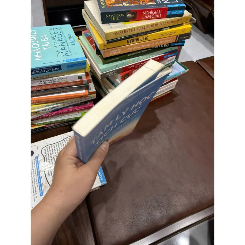 Tâm Lý Học Tích Cực – Edward Hoffman & William C. Compton- K3 1003553