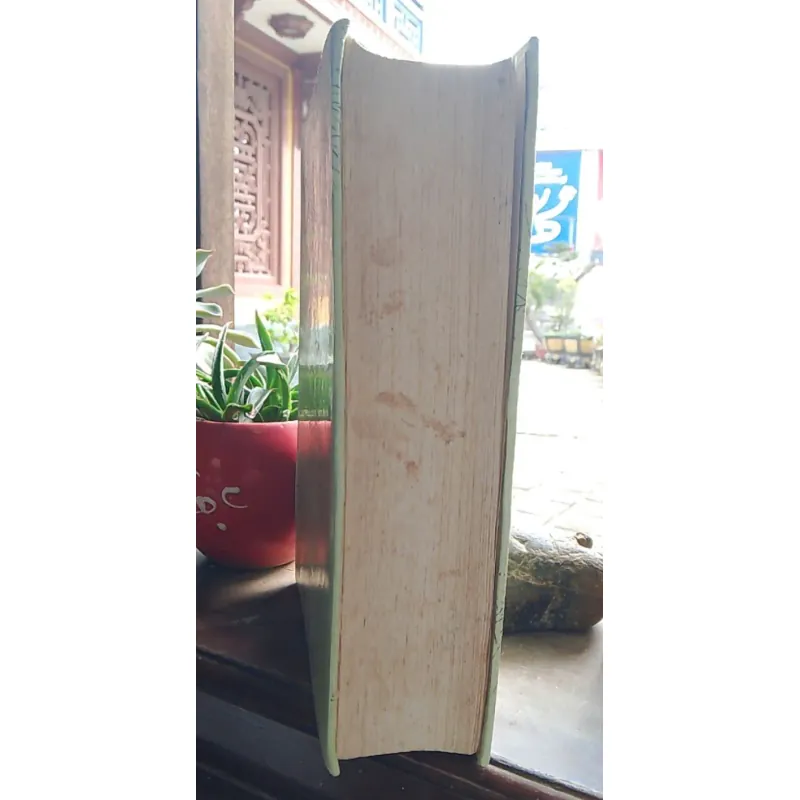 NGUYỄN DU CUỘC ĐỜI & TÁC PHẨM - NGUYỄN THẠCH GIANG, TRƯƠNG CHÍNH 762453