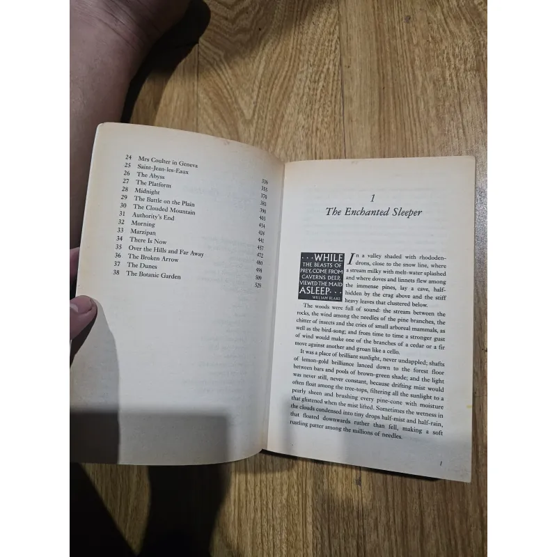 The amber spyglass  1012822