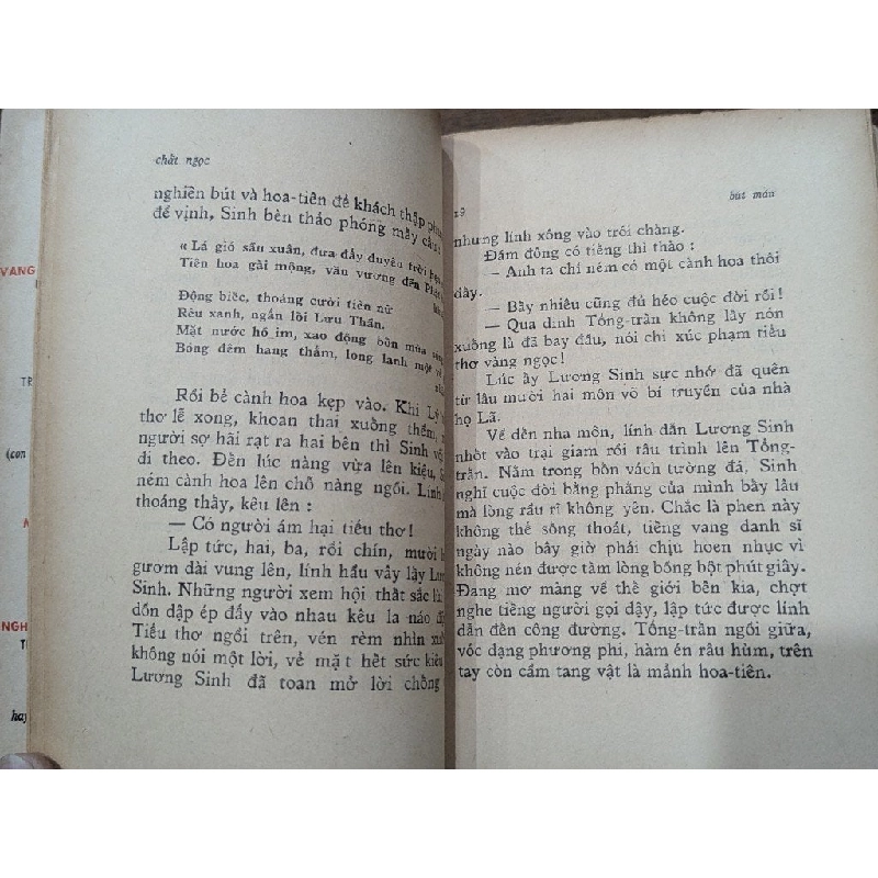 Chất ngọc - Vũ Hạnh 1003577