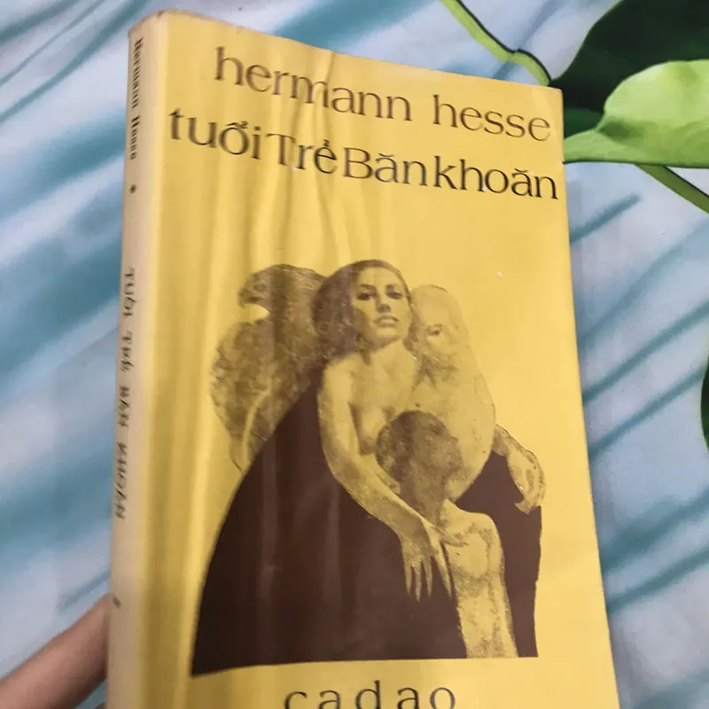 Tuổi trẻ băn khoăn 591268